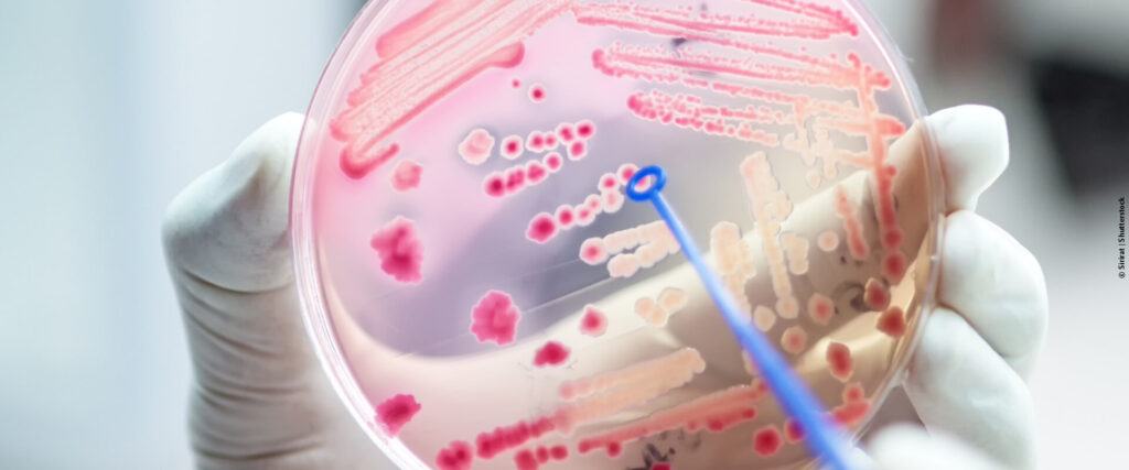 As bactérias mais mortais se tornaram resistentes aos antibióticos.