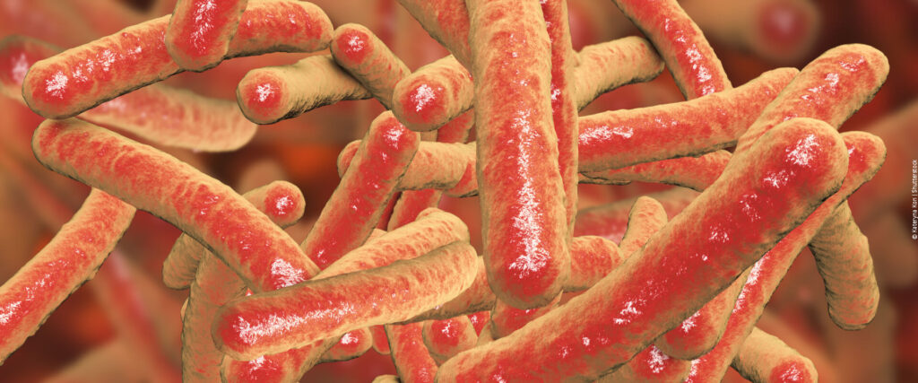 As 10 bactérias mais mortais do planeta