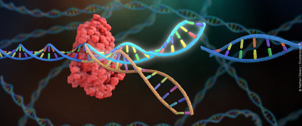 Questões com CRISPR podem aparecer nos assuntos de genética no ENEM