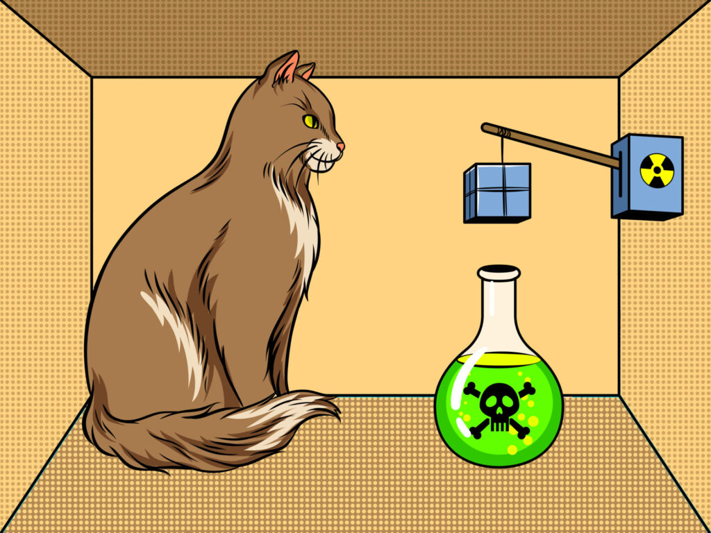 Interior da caixa no experimento "Gato de Schrödinger", incluindo um gato, o frasco de veneno ligado a um dispositivo radioativo.