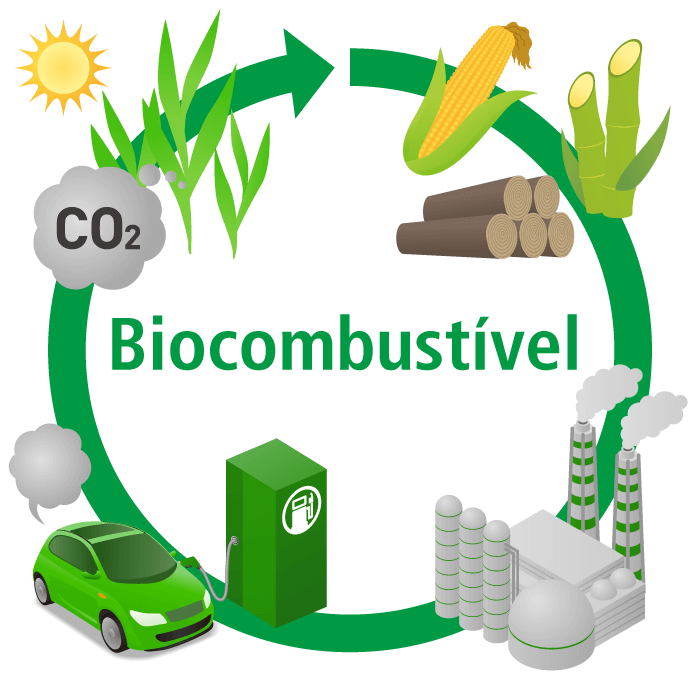 Imagem mostrando o ciclo do carbono nos combustíveis. As plantas retiram CO2 do ar, o carbono é convertido a etanol, que é queimado à CO2.