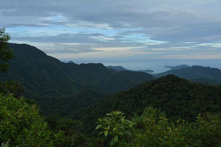 Vista de Ubatuba de cima da Serra do Mar