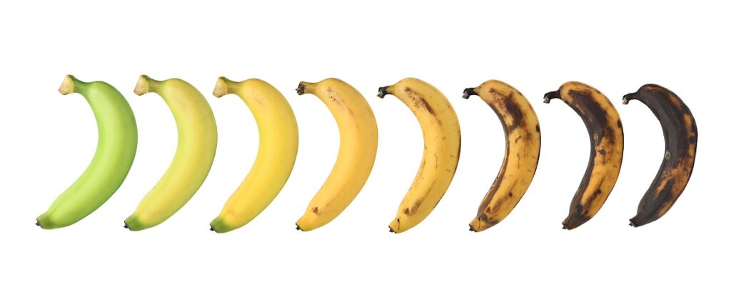 Processo de maturação da banana
