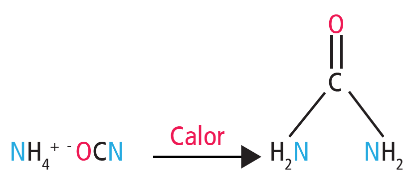 Reação de síntese da ureia, o primeiro composto orgânico sintetizado