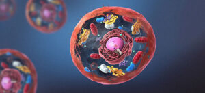 citologia, imagem mostra simulação de como é uma célular