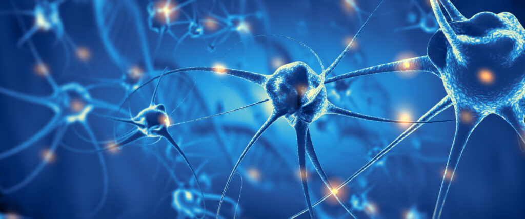 Sistema Nervoso: resumo com tudo o que você precisa