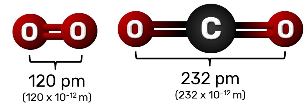 tamanho das moléculas de O2 e CO2
