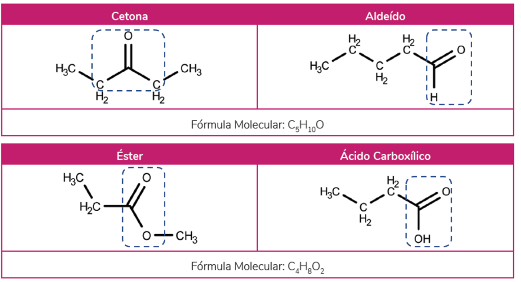 Exemplos de isomeria de função. Na parte superior temos isômeros com a fórmula molecular C5H10O no qual o da direita pertence a função cetona e o da esquerda é um aldeído. Na parte inferior, isômeros com fórmula C4H8O2. O da direita é um éster e o da esquerda um ácido carboxílico. 