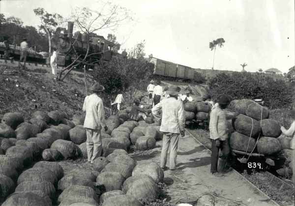 Trabalhadores carregando trem com borracha na ferrovia Madeira-Mamoré por volta de 1910 (Imagem: Museu Paulista da USP); escravidão moderna