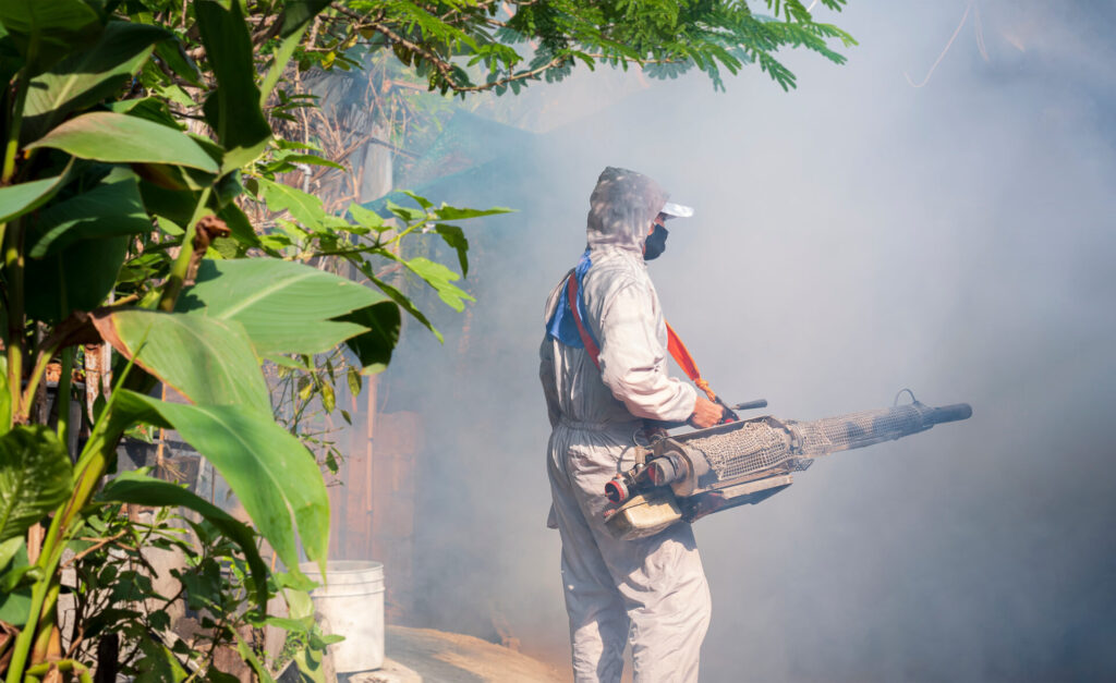 Fumacê é uma estratégia do governo para controlar as populações de mosquitos da dengue