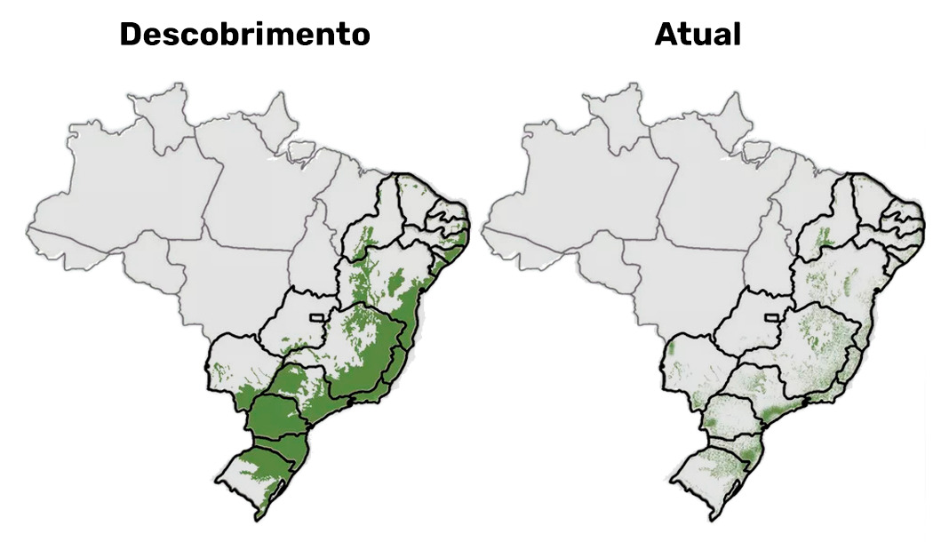 Mapa mostra cobertura da Mapa Atlântica