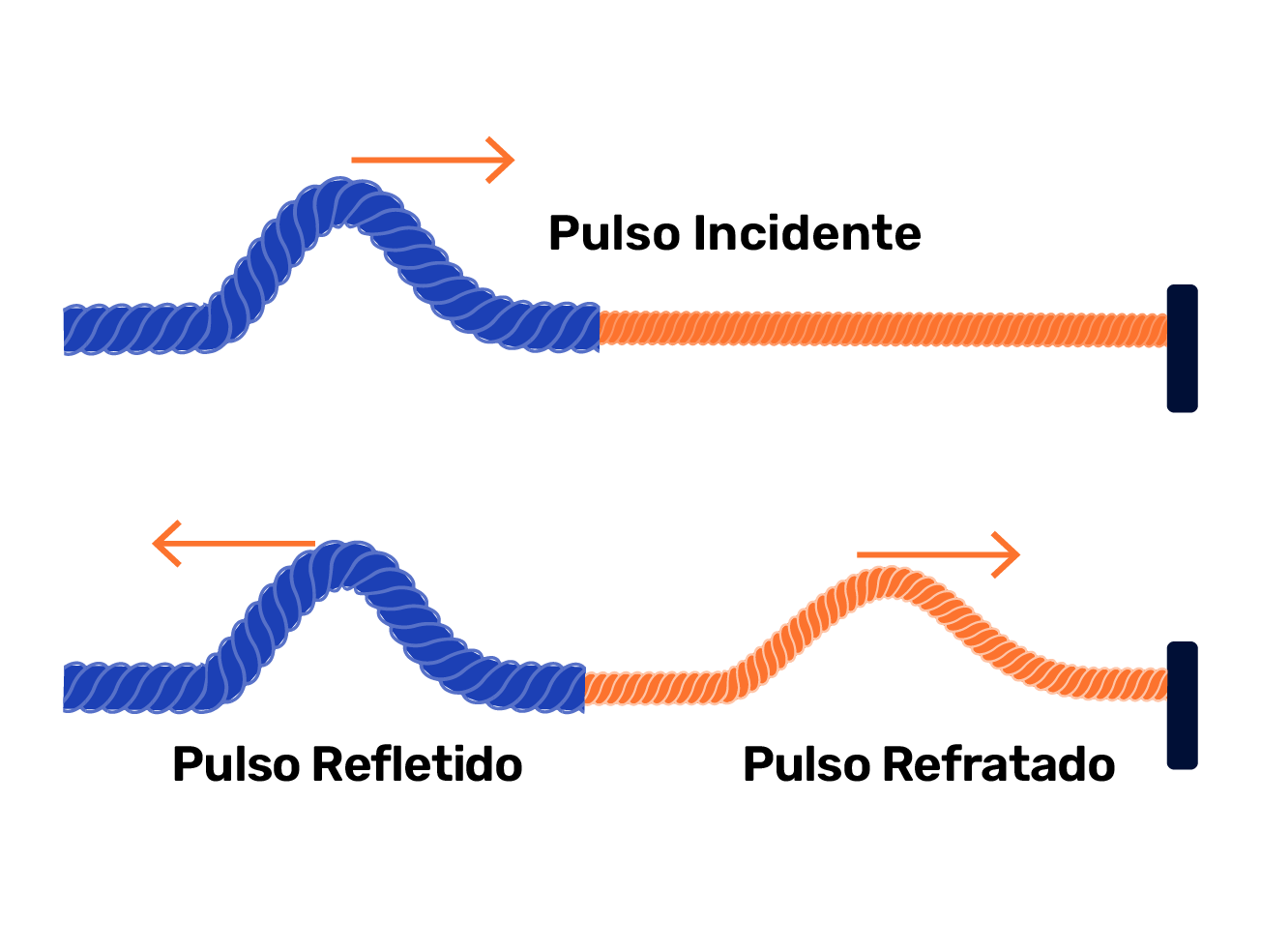 Ao passar da corda mais densa para a menos densa, tanto o pulso refletido quanto o refratado não sofrem inversão de fase - fenômenos ondulatórios