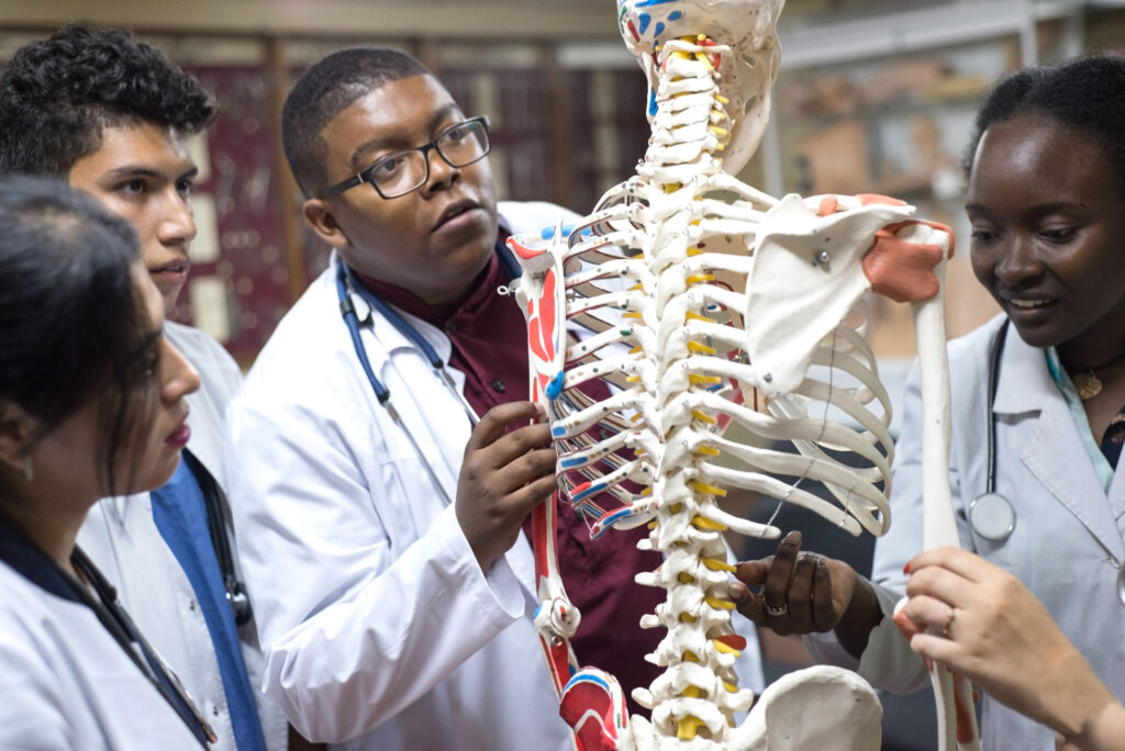 Estudantes de fisioterapia estudam a estrutura do esqueleto humano.
