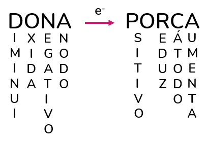 dona-porca-eletroquímica-equacao