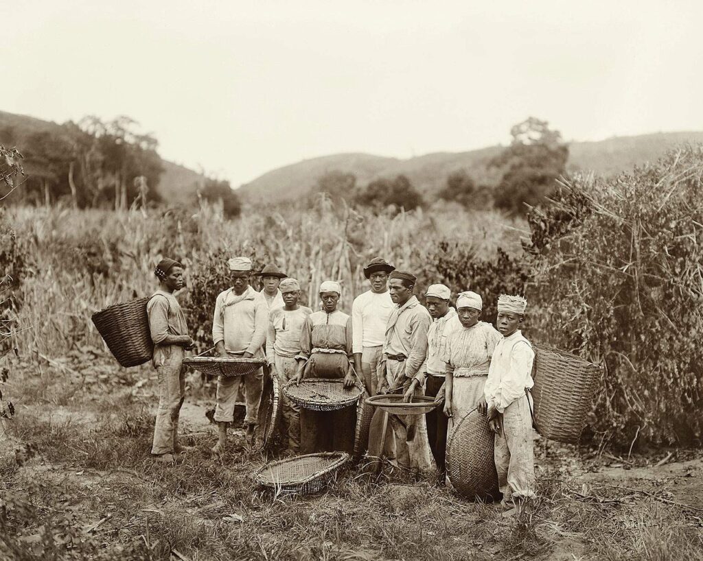 segundo reinado - escravos em fazenda da café no brasil