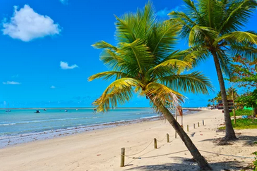 Viagem para Porto seguro - porcentagem