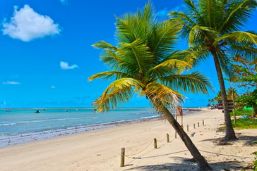 Viagem para Porto seguro - porcentagem 