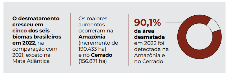 O gráfico 3 mostra que o desmatamento também cresceu nos biomas em relação a 2021, exceto na Mata Atlântica. Os aumentos mais significativos aconteceram na Amazônia e no Cerrado.