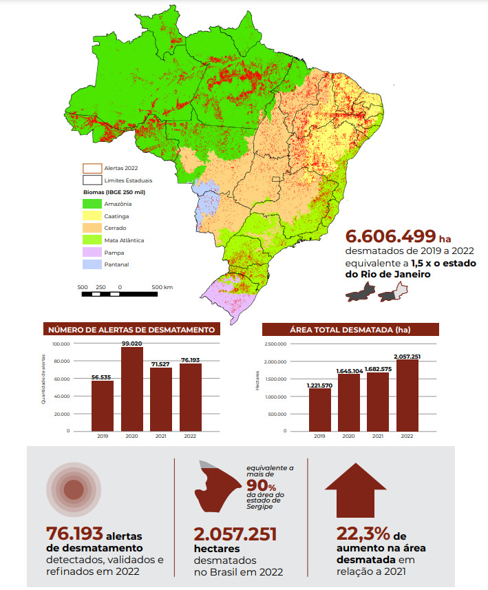 Gráfico do desmatamento no Brasil mostra que foram desmatados 6.606.499 hectares entre 2019 e 2022, algo equivalente a 1,5x o estado do Rio de Janeiro. 
