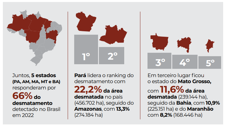 Gráfico do desmatamento no Brasil mostra 5 estados apresentam as maiores taxas, somando 66% de área desmatada no país. 