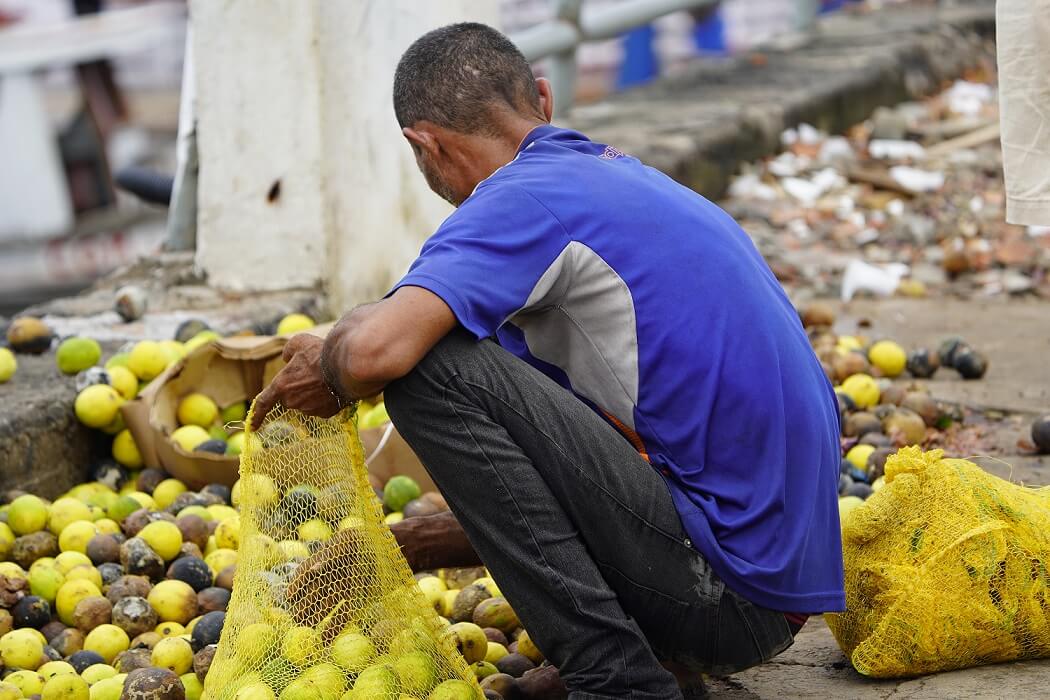 brasileiro procura frutas insegurança alimentar