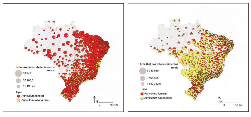 mapa questão fuvest agropecuária