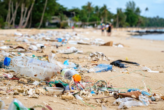 Garrafas jogadas na praia - uso excessivo de plástico
