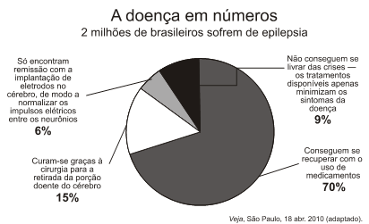 Exemplo de gráfico de pizza mostrando a presença da epilepsia entre os brasileiros - interpretação de gráficos