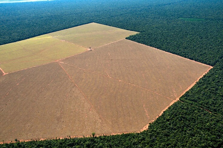 Área desmatada no Cerrado para a produção de grãos - Revolução Verde