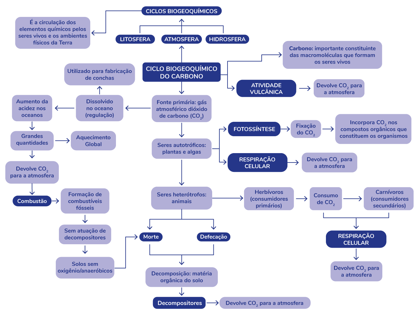 Mapa mental sobre ciclo biogeoquímico do carbono