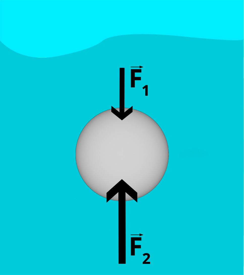 Esfera cinza submersa na água. Seta para baixo indicando F1 e seta para cima indicando F2