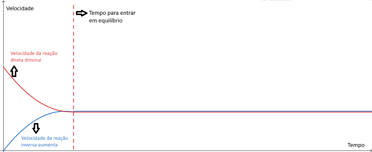 Gráfico do equilíbrio químico mostra a curva da velocidade da reação inversa aumentando até atingir o equilíbrio quando se mantém constante. Já a curva da velocidade da reação direta diminui, até entrar em equilíbrio com o tempo.