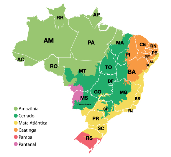 Mapa de distribuição de biomas do Brasil dividido por estados. Amazônia cobrindo Acre, Amazonas, Roraima, Rondônia, Pará, Amapá, metade do Mato Grosso e metade do Maranhão. Pantanal cobrindo parte do Mato Grosso e do Mato Grosso do Sul. Cerrado cobrindo parte do Maranhão, Tocantins, Goiás, Distrito Federal, metade do Mato Grosso, metade do Mato Grosso do Sul, metade de Minas Gerais, metade do Piauí, metade da Bahia e parte de São Paulo. Caatinga cobrindo parte do Piauí, parte da Bahia, totalmente Ceará, Rio Grande do Norte, Paraíba, parte do Pernambuco, parte de Alagoas e parte de Sergipe. Mata Atlântica cobrindo parte de Pernambuco, parte de Alagoas, parte de Sergipe, litoral da Bahia, metade de Minas Gerais, Espírito Santo, Rio de Janeiro, grande parte de São Paulo, Paraná, Santa Catarina e metade do Rio Grande do Sul. Pampa cobrindo metade do Rio Grande do Sul.