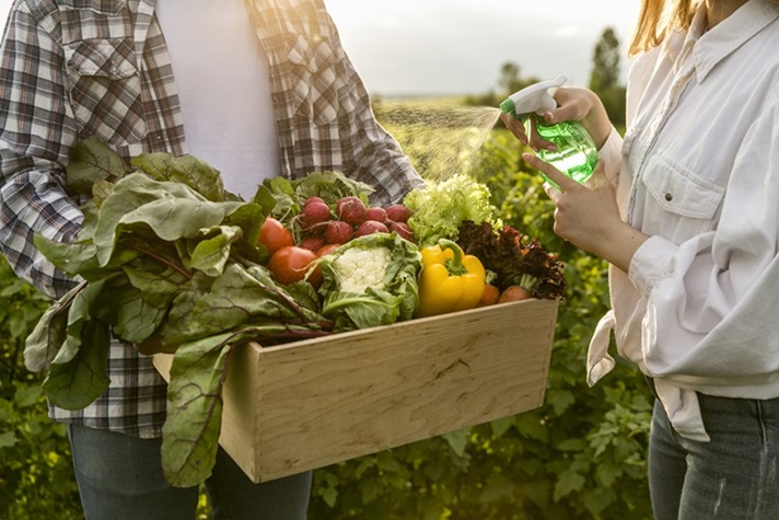 pessoas segurando cesta de legumes produtos orgânicos consumo sustentável