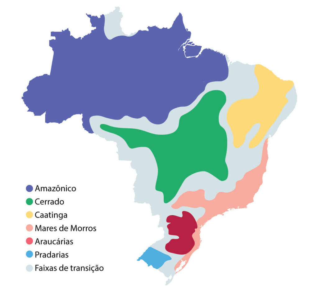 Ilustração do mapa dos domínios morfoclimáticos do Brasil. O Amazônico abrange os estados da região norte, como Acre, Amazonas, Pará, Amapá, parte de Roraima e Rondônia e extremo norte do Tocantins. A Caatinga compreende o Ceará, oeste do Rio Grande do Norte, leste do Maranhã, Bahia, Paraíba, Pernambuco e Alagoas. O Cerrado ocupa todos os estados do Centro Oeste, o Distrito Federal, oeste da Bahia, sul do Maranhão, sudoeste do Piauí, algumas áreas de Minas Gerais, do Tocantins e de Rondônia. O domínio de Mares de Morros ocupa o litoral desde o Nordeste até o Sul, ocupando grande parte de São Paulo. As araucárias aparecem em Santa Catarina, Paraná, e norte do Rio Grande do Sul. As pradarias acontecem somente no Rio Grande do Sul. As faixas de transição são áreas entre dois ou mais domínios.