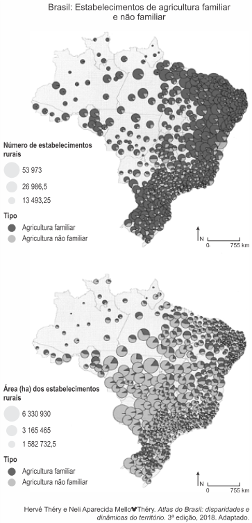 Imagem mostra disparidades territoriais no Brasil, questão da Fuvest