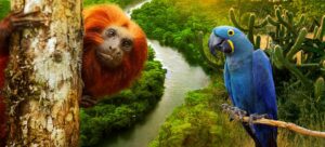 Imagem mostrando dois representantes da fauna brasileira, um macaco e uma arara azul, em seus habitats naturais, simbolizando a biodiversidade dos biomas brasileiros