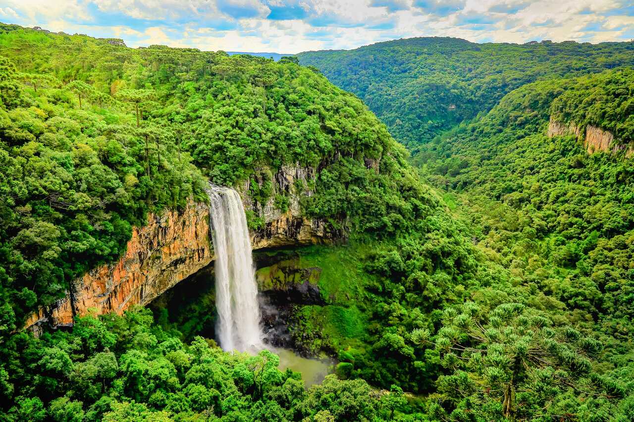 Cachoeira vertendo água sobre penhascos cobertos por densa vegetação verde, característica da Mata Atlântica, um bioma brasileiro