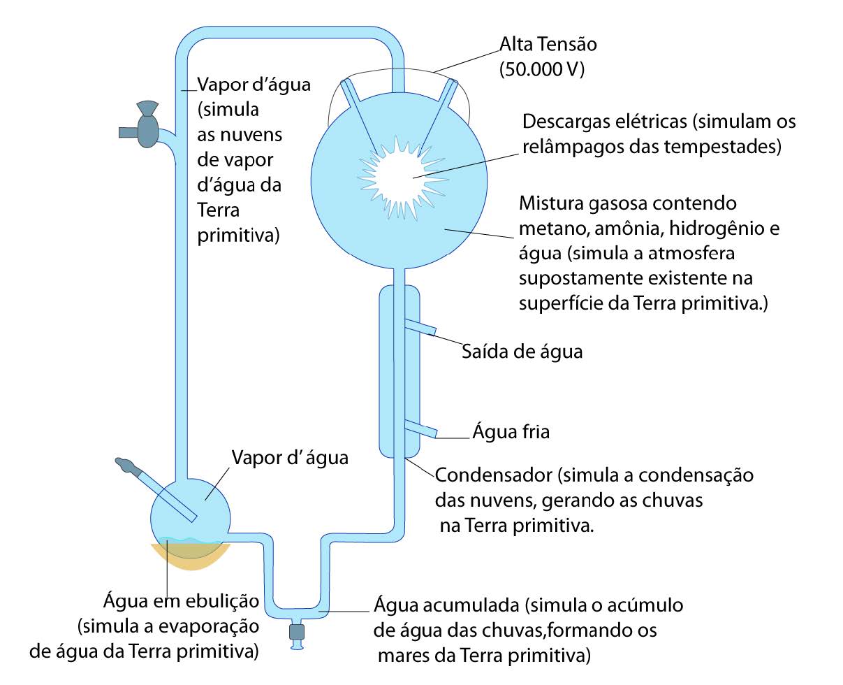 Experimento de Miller-Urey ilustra como aconteceu a origem da vida