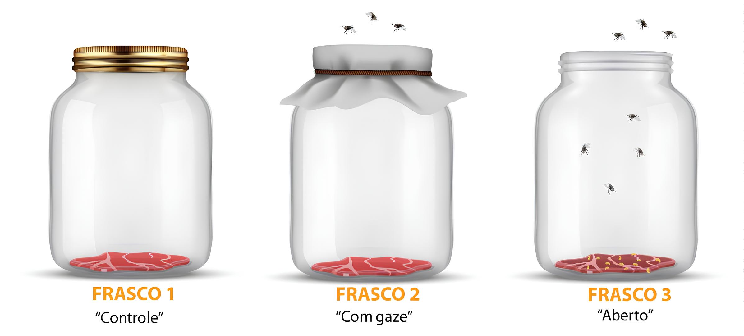 Três frascos com carne mostram o experimento de Redi. Primeiro frasco com carne com tampa, totalmente vedado. Segundo frasco com carne com gaze cobrindo e um elástico amarrado, com moscas em cima da gaze. Terceiro frasco com carne aberto e moscas entrando.