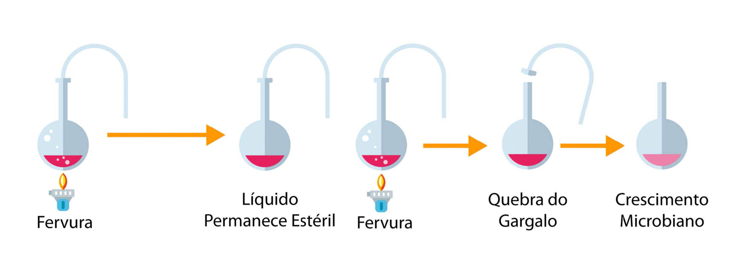 No experimento de Louis Pasteur sobre a origem da vida, primeiro, o líquido é fervido e permanece estéril quando vedado. Ao ter a quebra do gargalo, há um crescimento microbiano.