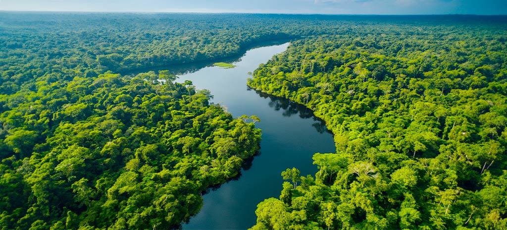 imagem de região da mata atlântica vista de cima