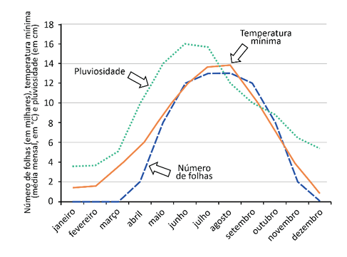 Gráfico com variação de temperatura - Fuvest 2023 - clima
