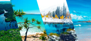 montagem com diferentes paisagens representando climas