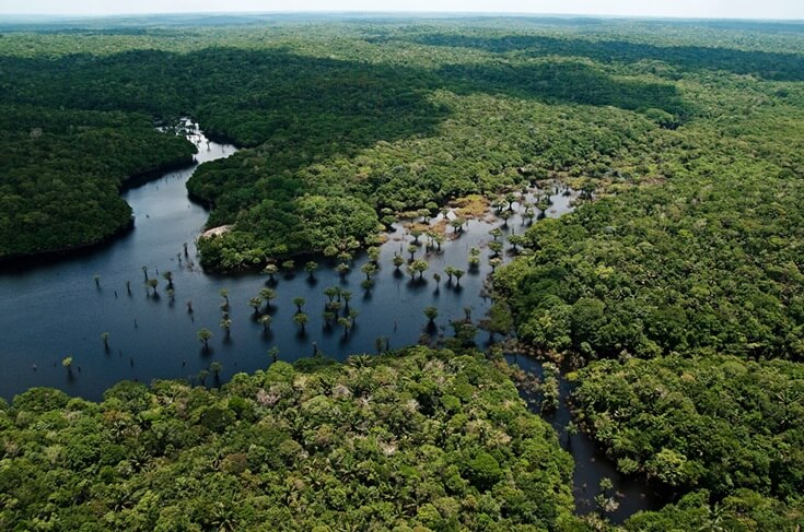 Clima equatorial - Floresta Amazônia (Imagem: Adobe Stock)