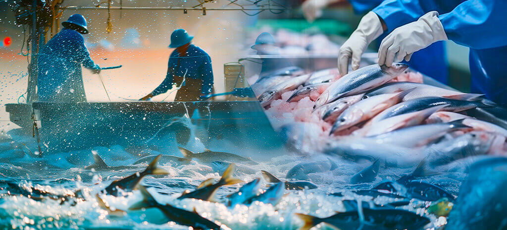Pessoas pescando e peixes representando Engenharia de Pesca
