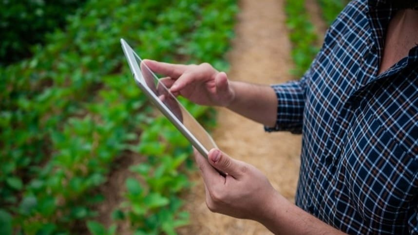 Profissional de Ciências Agrárias usando um tablet para monitorar uma plantação