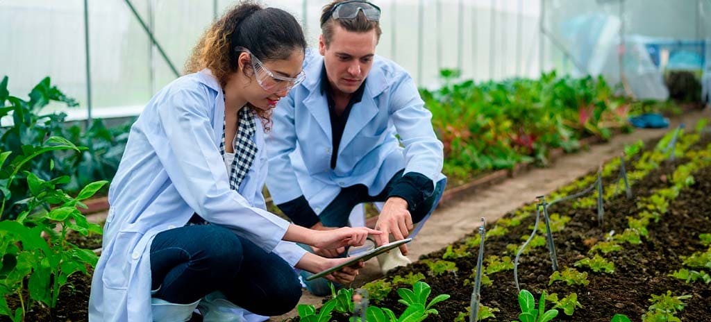 Estudantes de Ciências Agrárias utilizando tecnologia em uma plantação