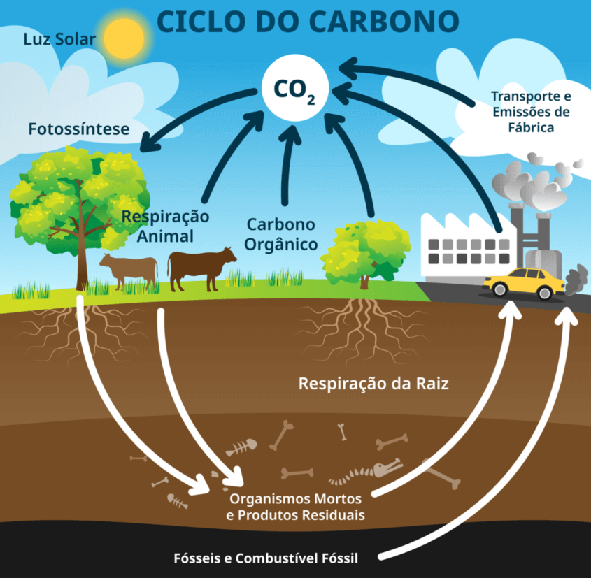 Ciclo do Carbono, representando as emissões de co2