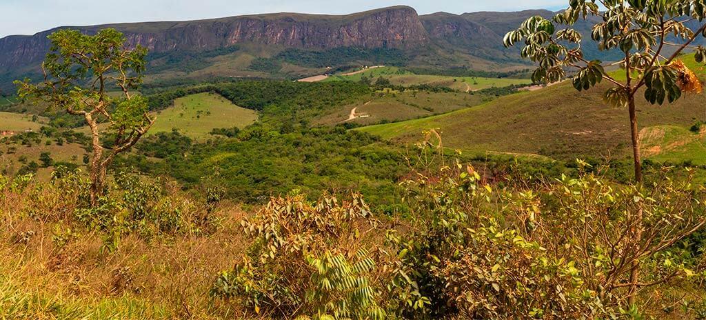 Paisagem do Cerrado com árvores